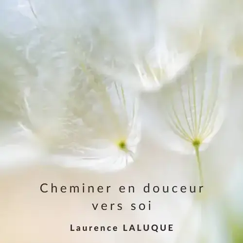 Logo Laurence Laluque